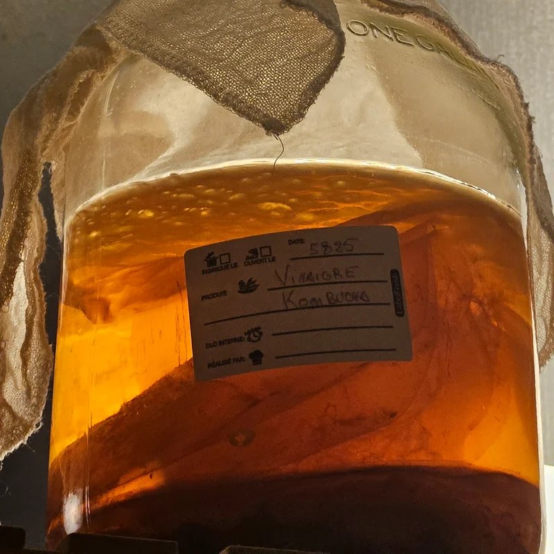 Bocal de vinaigre de kombucha en fermentation