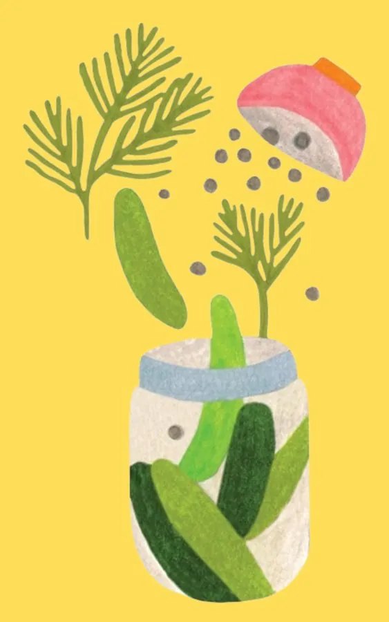 Illustration d'un bocal de cornichons lactofermentés